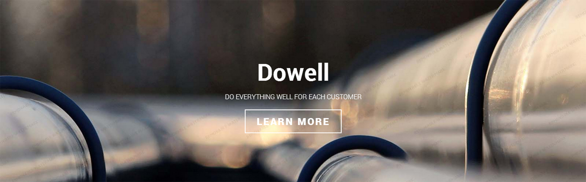 Dowell Energy Services Singapore
